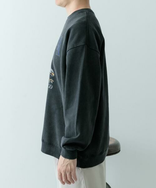 URBAN RESEARCH ITEMS / アーバンリサーチ アイテムズ スウェット | 『XLサイズあり』パウダー加工 クルーネックスウェットプルオーバー | 詳細29