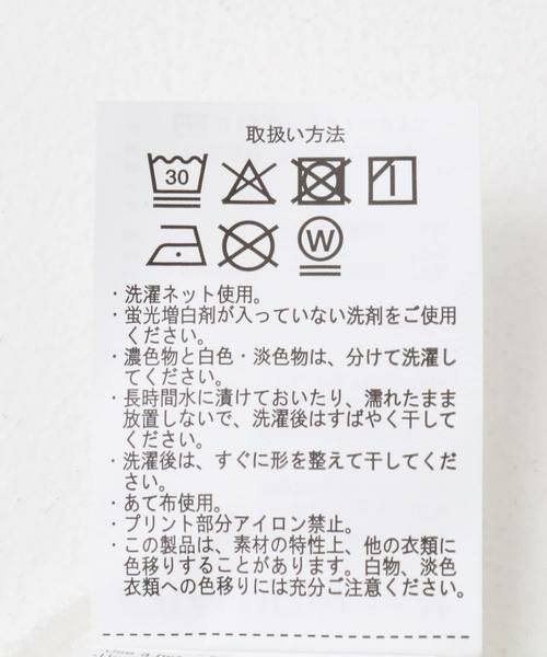 URBAN RESEARCH ITEMS / アーバンリサーチ アイテムズ Tシャツ | Art Graphic ポンチカットソー Wind | 詳細14