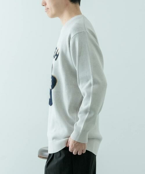 URBAN RESEARCH ITEMS / アーバンリサーチ アイテムズ ニット・セーター | ループJQDニット CHERISH | 詳細11