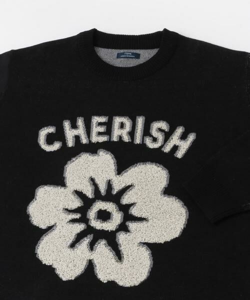 URBAN RESEARCH ITEMS / アーバンリサーチ アイテムズ ニット・セーター | ループJQDニット CHERISH | 詳細24