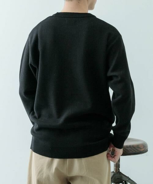 URBAN RESEARCH ITEMS / アーバンリサーチ アイテムズ ニット・セーター | ループJQDニット LEAD ME | 詳細22