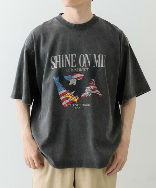 URBAN RESEARCH ITEMS / アーバンリサーチ アイテムズ Tシャツ | パウダー加工天竺半袖Tシャツ | 詳細1