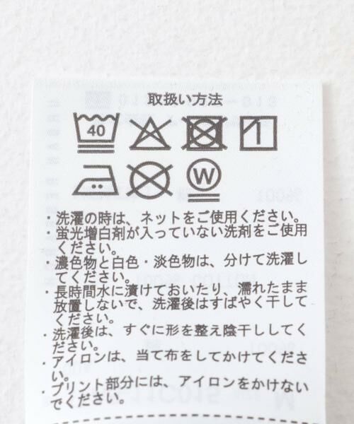 URBAN RESEARCH ITEMS / アーバンリサーチ アイテムズ Tシャツ | 『別注』Beastie Boys T-shirts | 詳細19