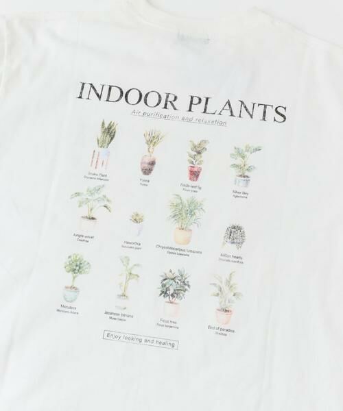 URBAN RESEARCH ITEMS / アーバンリサーチ アイテムズ Tシャツ | PlantsバックプリントusedライクTシャツ | 詳細8