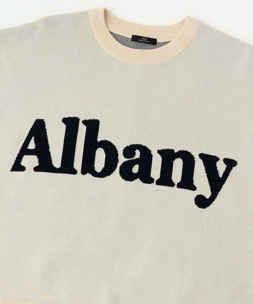 URBAN RESEARCH ITEMS / アーバンリサーチ アイテムズ ニット・セーター | ソウバリロゴニット | 詳細21