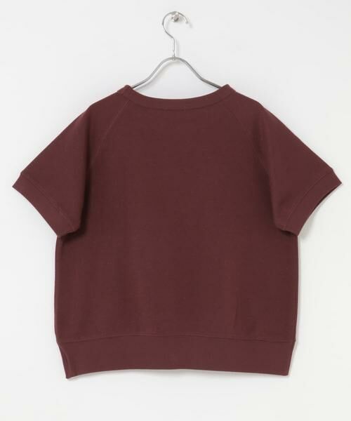 URBAN RESEARCH ITEMS / アーバンリサーチ アイテムズ スウェット | ラメハンソデスウェットプルオーバー | 詳細8