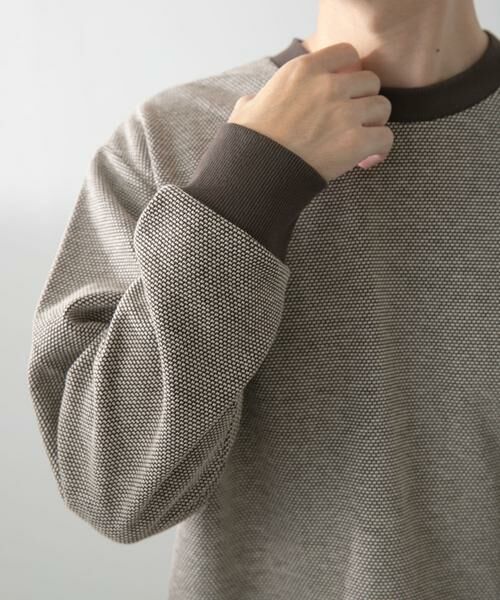 URBAN RESEARCH ITEMS / アーバンリサーチ アイテムズ スウェット | バーズアイ ジャカード スウェット | 詳細4