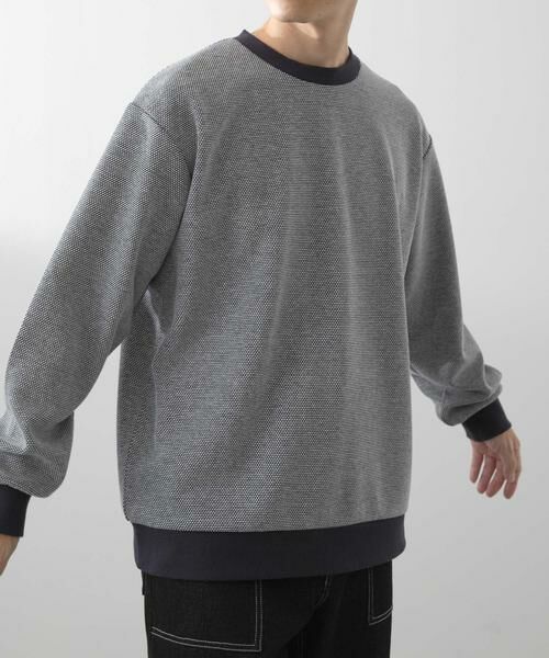 URBAN RESEARCH ITEMS / アーバンリサーチ アイテムズ スウェット | バーズアイ ジャカード スウェット | 詳細12