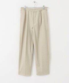 URBAN RESEARCH ITEMS / アーバンリサーチ アイテムズ その他パンツ | ウールタッチ起毛TR イージースラックス