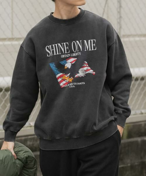 URBAN RESEARCH ITEMS / アーバンリサーチ アイテムズ スウェット | パウダー加工 裏起毛スウェットプルオーバー | 詳細1