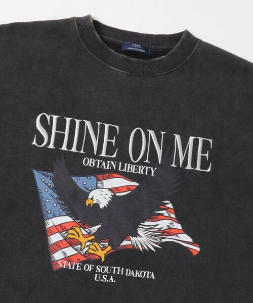 URBAN RESEARCH ITEMS / アーバンリサーチ アイテムズ スウェット | パウダー加工 裏起毛スウェットプルオーバー | 詳細10