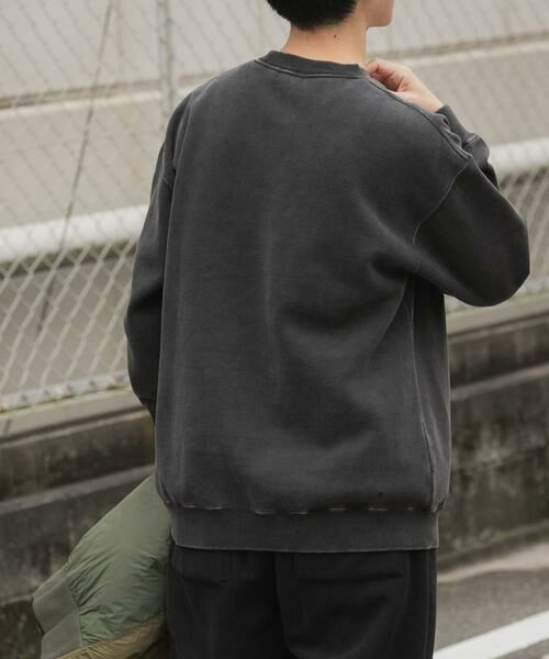 URBAN RESEARCH ITEMS / アーバンリサーチ アイテムズ スウェット | パウダー加工 裏起毛スウェットプルオーバー | 詳細2