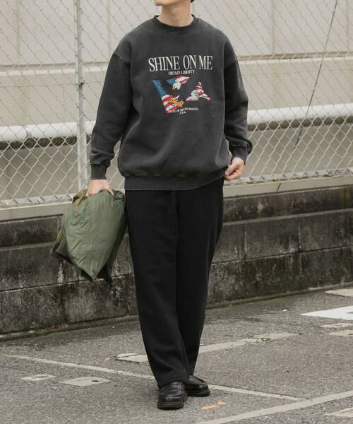 URBAN RESEARCH ITEMS / アーバンリサーチ アイテムズ スウェット | パウダー加工 裏起毛スウェットプルオーバー | 詳細3