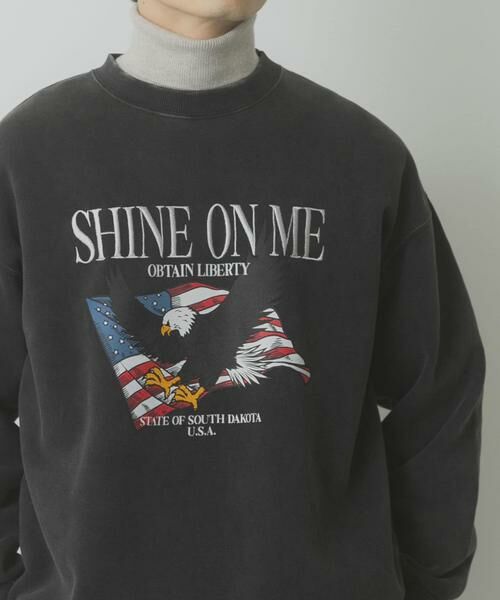 URBAN RESEARCH ITEMS / アーバンリサーチ アイテムズ スウェット | パウダー加工 裏起毛スウェットプルオーバー | 詳細4