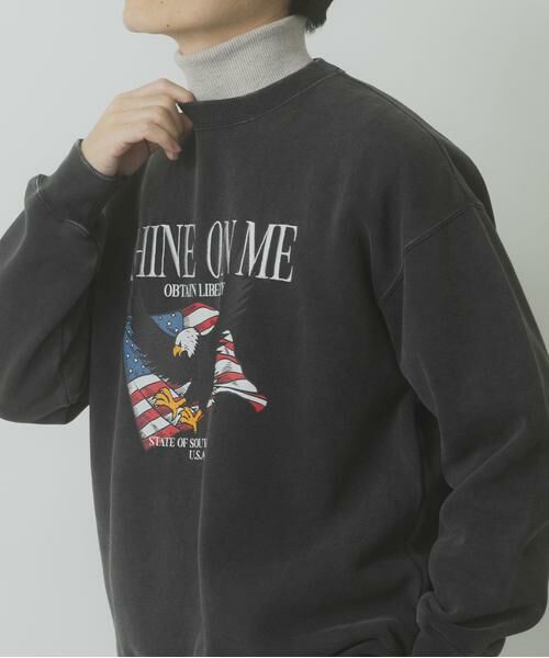 URBAN RESEARCH ITEMS / アーバンリサーチ アイテムズ スウェット | パウダー加工 裏起毛スウェットプルオーバー | 詳細5