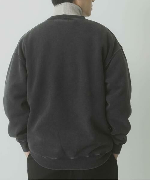 URBAN RESEARCH ITEMS / アーバンリサーチ アイテムズ スウェット | パウダー加工 裏起毛スウェットプルオーバー | 詳細8