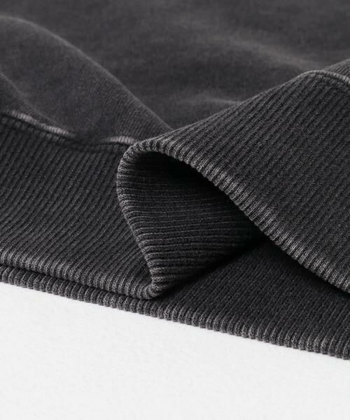 URBAN RESEARCH ITEMS / アーバンリサーチ アイテムズ スウェット | パウダー加工 裏起毛スウェットプルオーバー | 詳細25