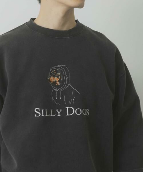 URBAN RESEARCH ITEMS / アーバンリサーチ アイテムズ スウェット | パウダー加工 裏起毛スウェットプルオーバー | 詳細27