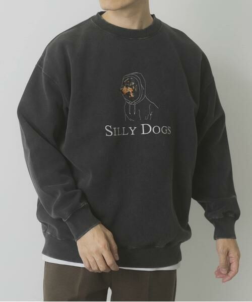 URBAN RESEARCH ITEMS / アーバンリサーチ アイテムズ スウェット | パウダー加工 裏起毛スウェットプルオーバー | 詳細28