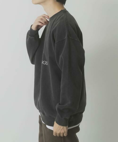 URBAN RESEARCH ITEMS / アーバンリサーチ アイテムズ スウェット | パウダー加工 裏起毛スウェットプルオーバー | 詳細29