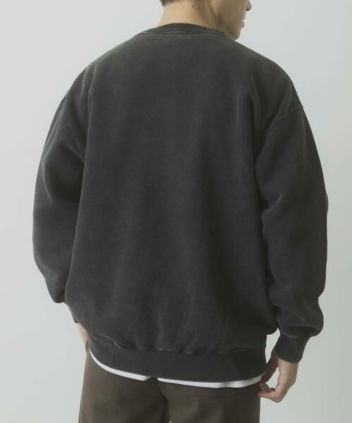 URBAN RESEARCH ITEMS / アーバンリサーチ アイテムズ スウェット | パウダー加工 裏起毛スウェットプルオーバー | 詳細30