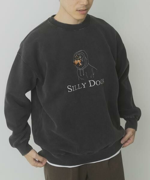 URBAN RESEARCH ITEMS/アーバンリサーチ アイテムズ パウダー加工 裏起毛スウェットプルオーバー その他3 L URBAN RESEARCH ITEMS/アーバンリサーチ アイテムズ パウダー加工 裏起毛スウェットプルオーバー その他3 L