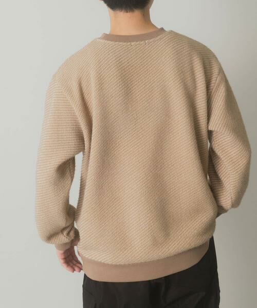 URBAN RESEARCH ITEMS / アーバンリサーチ アイテムズ Tシャツ | フェザーヤーン クルーネック ニットソー | 詳細8