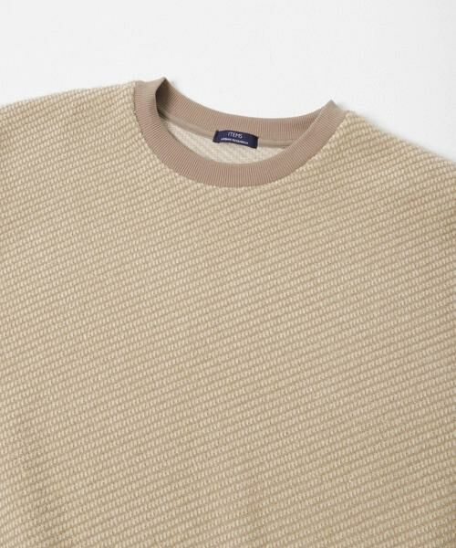 URBAN RESEARCH ITEMS / アーバンリサーチ アイテムズ Tシャツ | フェザーヤーン クルーネック ニットソー | 詳細11