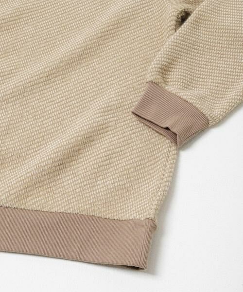 URBAN RESEARCH ITEMS / アーバンリサーチ アイテムズ Tシャツ | フェザーヤーン クルーネック ニットソー | 詳細12