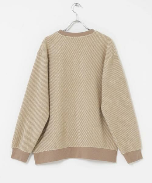 URBAN RESEARCH ITEMS / アーバンリサーチ アイテムズ Tシャツ | フェザーヤーン クルーネック ニットソー | 詳細13