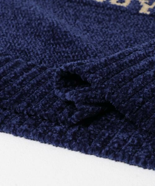 URBAN RESEARCH ITEMS / アーバンリサーチ アイテムズ ニット・セーター | Teddy Bear モールクルーネックニット | 詳細24
