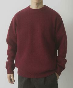 URBAN RESEARCH ITEMS / アーバンリサーチ アイテムズ ニット・セーター | タスマニア メリノウール100 クルーネックニット