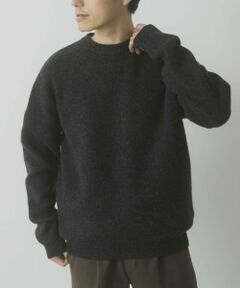URBAN RESEARCH ITEMS / アーバンリサーチ アイテムズ ニット・セーター | タスマニア メリノウール100 クルーネックニット