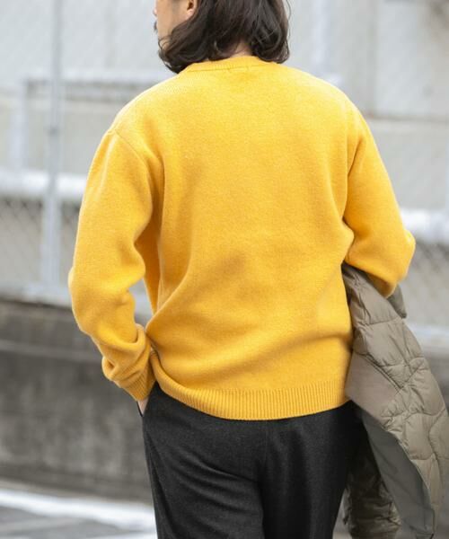 URBAN RESEARCH ITEMS / アーバンリサーチ アイテムズ ニット・セーター | タスマニア メリノウール100 クルーネックニット | 詳細9
