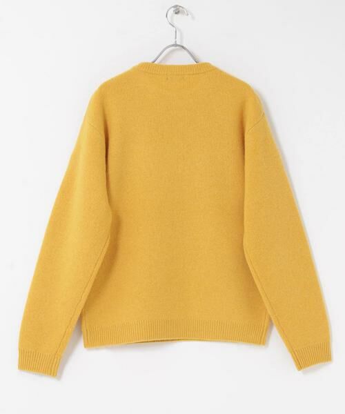 URBAN RESEARCH ITEMS / アーバンリサーチ アイテムズ ニット・セーター | タスマニア メリノウール100 クルーネックニット | 詳細14