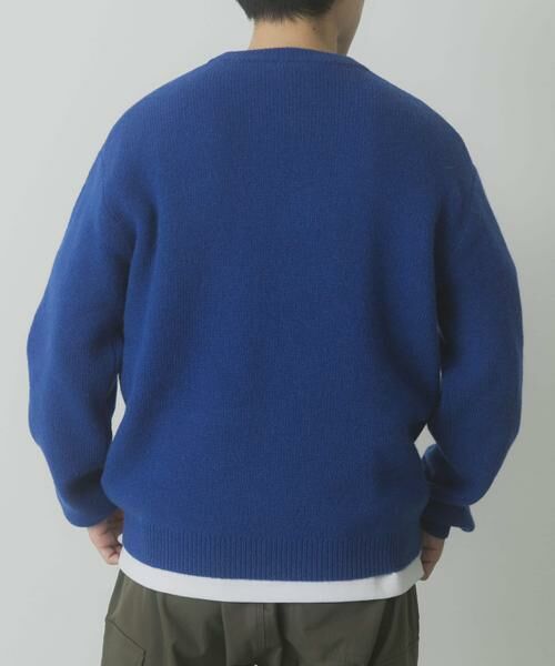 URBAN RESEARCH ITEMS / アーバンリサーチ アイテムズ ニット・セーター | タスマニア メリノウール100 クルーネックニット | 詳細20