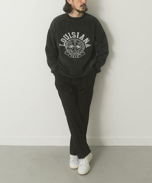 URBAN RESEARCH ITEMS / アーバンリサーチ アイテムズ ニット・セーター | 真冬の正解 カレッジロゴモールニット | 詳細6