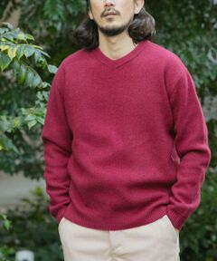 URBAN RESEARCH ITEMS / アーバンリサーチ アイテムズ ニット・セーター | タスマニア メリノウール100 Vネックニット