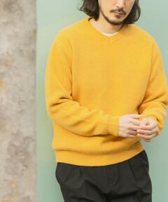 URBAN RESEARCH ITEMS / アーバンリサーチ アイテムズ ニット・セーター | タスマニア メリノウール100 Vネックニット