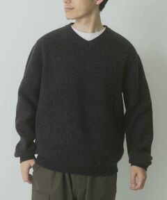 URBAN RESEARCH ITEMS / アーバンリサーチ アイテムズ ニット・セーター | タスマニア メリノウール100 Vネックニット