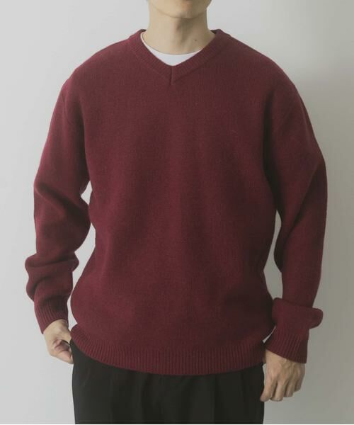 URBAN RESEARCH ITEMS / アーバンリサーチ アイテムズ ニット・セーター | タスマニア メリノウール100 Vネックニット | 詳細1