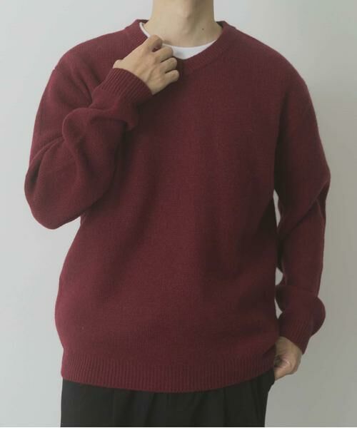 URBAN RESEARCH ITEMS / アーバンリサーチ アイテムズ ニット・セーター | タスマニア メリノウール100 Vネックニット | 詳細10