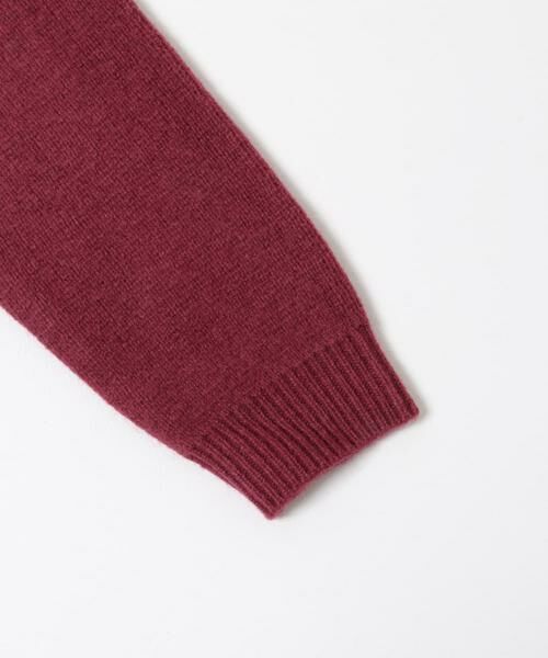 URBAN RESEARCH ITEMS / アーバンリサーチ アイテムズ ニット・セーター | タスマニア メリノウール100 Vネックニット | 詳細12