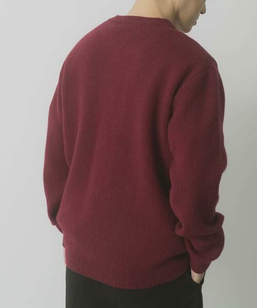 URBAN RESEARCH ITEMS / アーバンリサーチ アイテムズ ニット・セーター | タスマニア メリノウール100 Vネックニット | 詳細2