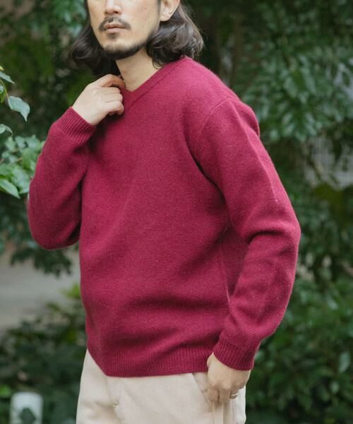 URBAN RESEARCH ITEMS / アーバンリサーチ アイテムズ ニット・セーター | タスマニア メリノウール100 Vネックニット | 詳細4