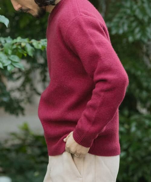 URBAN RESEARCH ITEMS / アーバンリサーチ アイテムズ ニット・セーター | タスマニア メリノウール100 Vネックニット | 詳細5