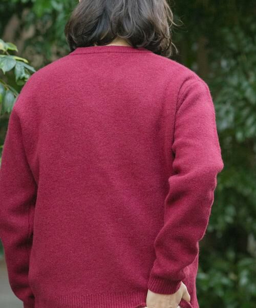 URBAN RESEARCH ITEMS / アーバンリサーチ アイテムズ ニット・セーター | タスマニア メリノウール100 Vネックニット | 詳細6