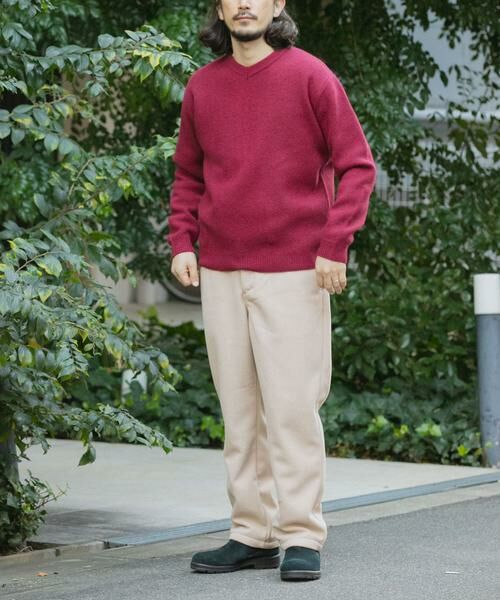 URBAN RESEARCH ITEMS / アーバンリサーチ アイテムズ ニット・セーター | タスマニア メリノウール100 Vネックニット | 詳細7