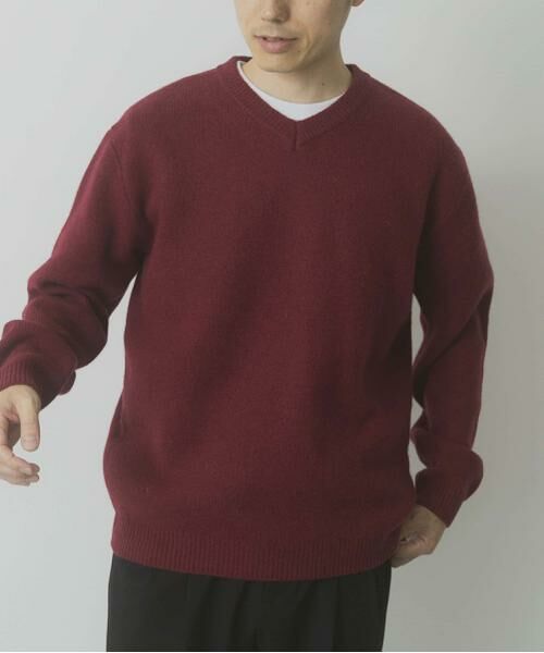 URBAN RESEARCH ITEMS / アーバンリサーチ アイテムズ ニット・セーター | タスマニア メリノウール100 Vネックニット | 詳細8