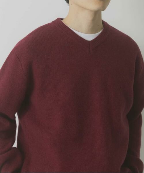 URBAN RESEARCH ITEMS / アーバンリサーチ アイテムズ ニット・セーター | タスマニア メリノウール100 Vネックニット | 詳細9